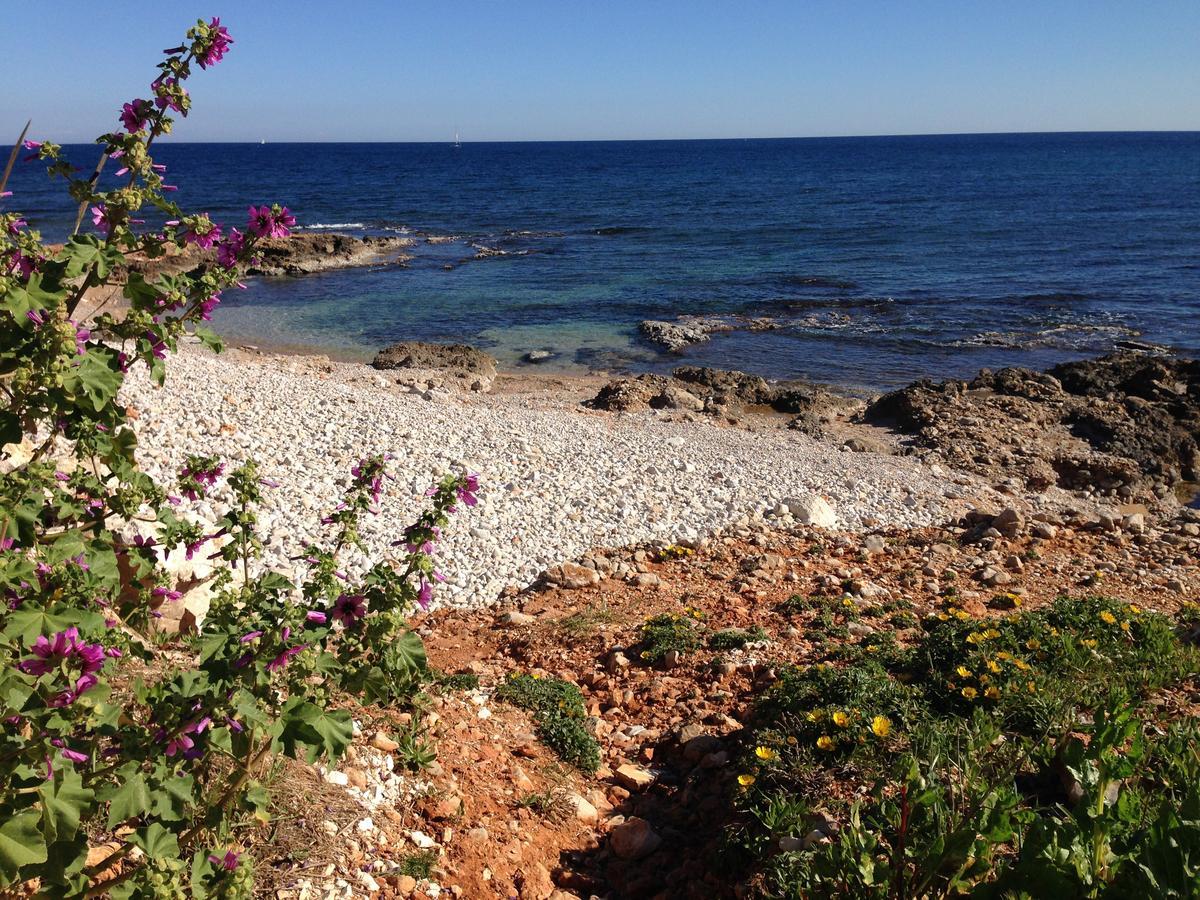 Tropicana Park Denia Kültér fotó